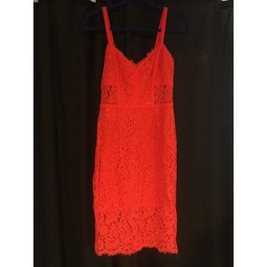 Express Lace Sheath Dress